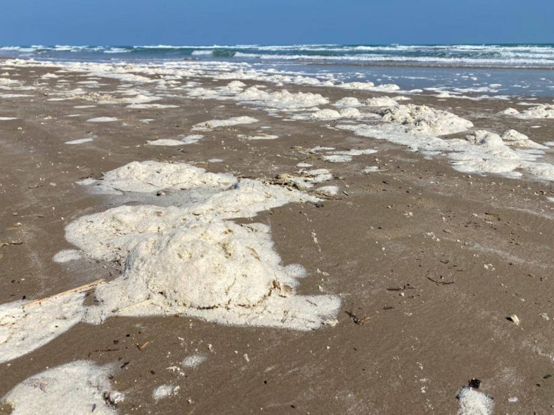Photo of Espuma que apareció en playa Miramar no es tóxica