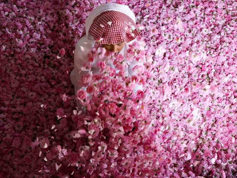 Photo of Taif, la ciudad llena de rosas en medio del desierto