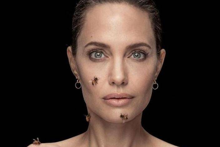 Photo of La impactante foto de Angelina Jolie cubierta de abejas