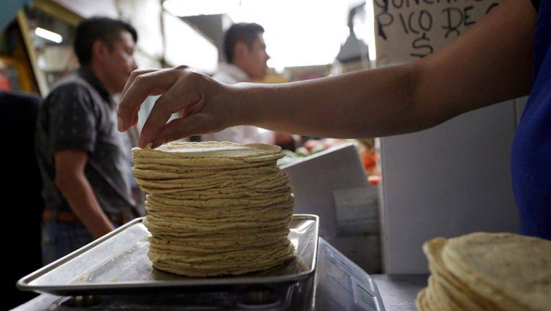 Photo of Insumos provocan aumento en precio de las tortillas