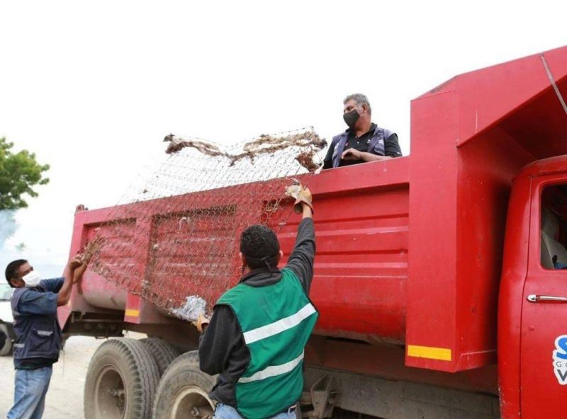Photo of Retiran 300 toneladas de cacharros en Victoria