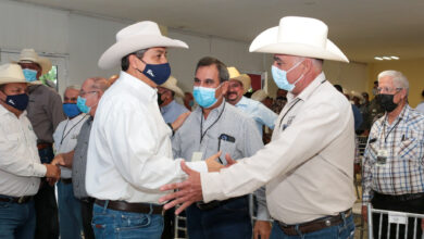 Photo of Tamaulipas ha destinado más de 500 mdp al sector ganadero