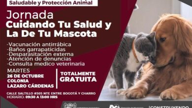 Photo of Realizan jornada de salud para mascotas