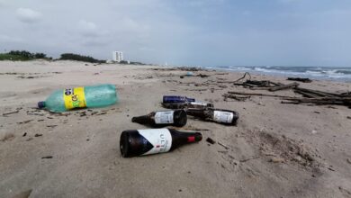 Photo of Turistas no apoyan para mantener limpia la playa