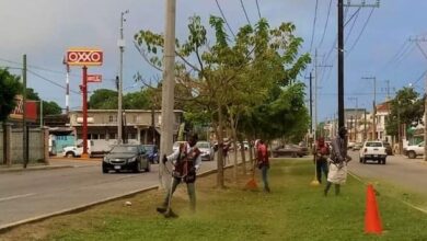 Photo of Exhortan a no arrojar desechos en la vía pública