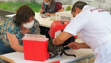 Photo of Fomentan el cuidado y la salud de las mascotas