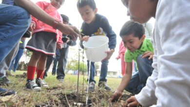 Photo of Continúa concientizando sobre educación ambiental