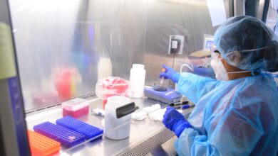 Photo of Reforzará Tamaulipas vigilancia epidemiológica por variante Ómicron