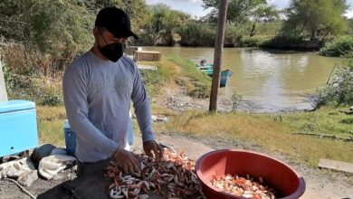 Photo of Van a Canadá 25 trabajadores tamaulipecos