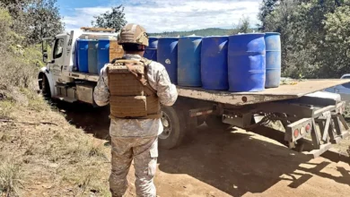 Photo of Van a la baja delitos de alto impacto en Tamaulipas