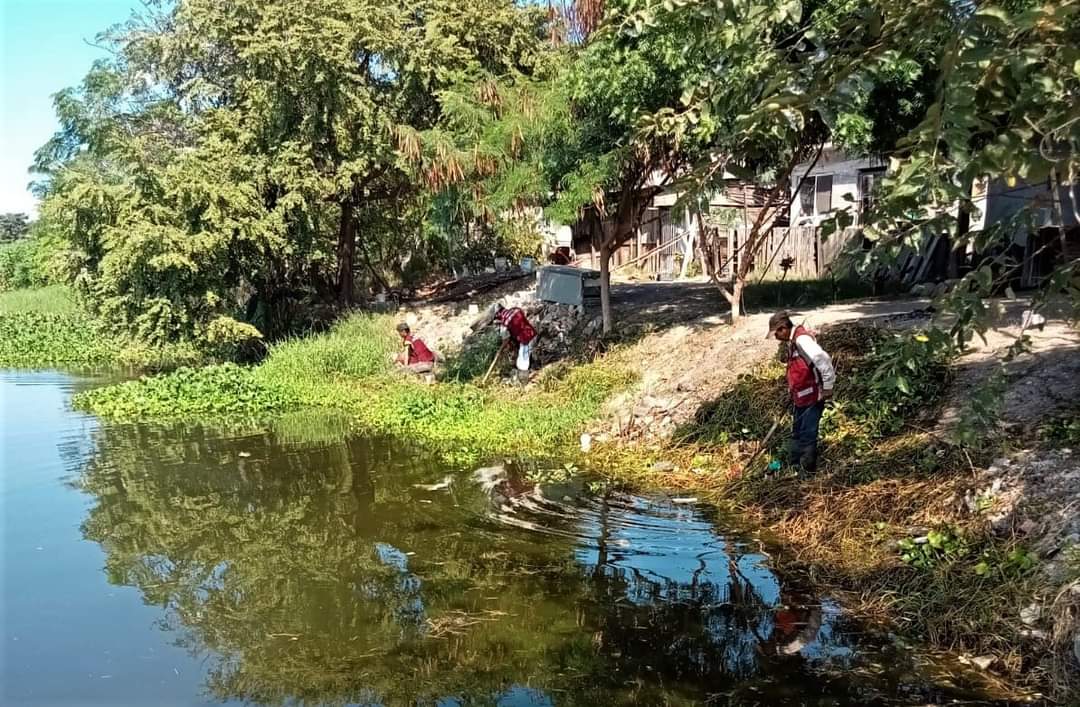 Permanente limpieza de lagunas en Madero