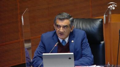 Photo of Llama Américo a la calma ante aparición de variante Ómicron