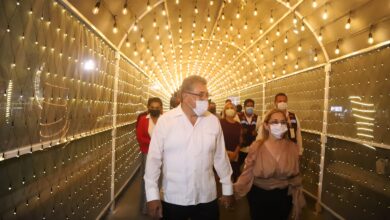 Photo of Inaugura Armando Martínez temporada navideña con el encendido del pino