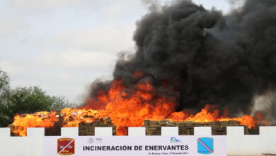 Photo of Incinera FGR más de 4 toneladas de narcóticos en Tamaulipas