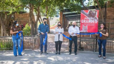 Photo of Inaugura Zoológico Tamatán recinto de pequeñas grandes especies