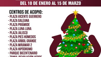 Photo of Instalan centros de acopio para árboles de navidad
