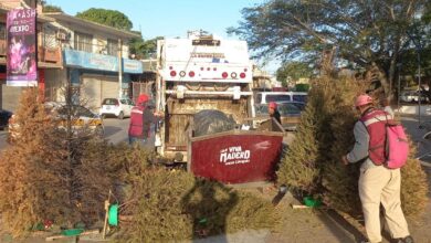 Photo of Promueven campaña “Recicla tu árbol natural”