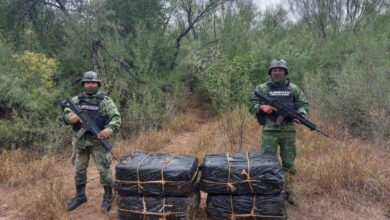 Photo of Ejército desmantela cuatro narco campamentos