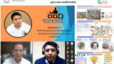 Photo of Estudia UAT el potencial farmacológico de plantas de la región para usos medicinales