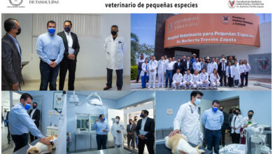 Photo of Constató Rector de la UAT trabajo del Hospital Veterinario de Pequeñas Especies