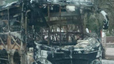 Photo of Delincuentes queman camión foráneo en San Carlos