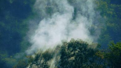 Photo of Incendio en Biosfera El Cielo está fuera de control