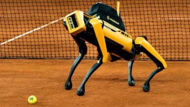 Photo of Perro robot vigilará el torneo de Madrid
