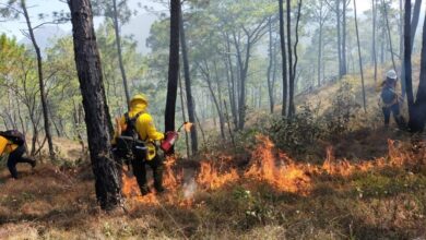 Photo of PC llama a tener precauciones por incendios forestales