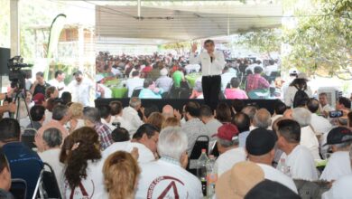 Photo of Andan desesperados, porque saben que están perdidos; Américo
