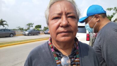 Photo of Piden denunciar agresiones a mascotas