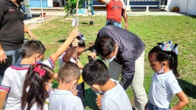 Photo of Celebra Municipio Día del Árbol con acciones de Reforestación