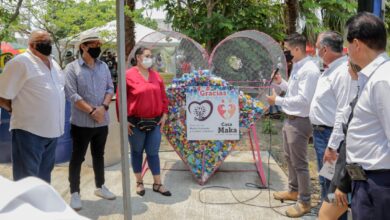 Photo of Gobierno maderense realiza jornada ambiental