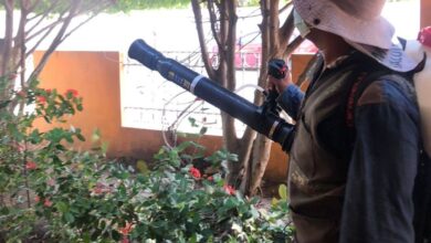 Photo of Intensifican acciones contra el dengue en colonias y espacios públicos en Madero