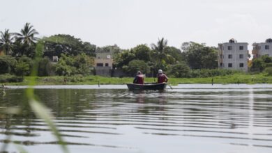 Photo of Promueven acciones de regulación climática con rescate de lagunas