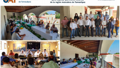 Photo of Colabora la UAT en propuestas para desarrollar la región mezcalera de Tamaulipas