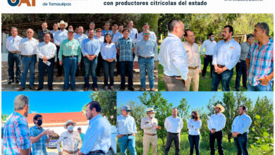 Photo of Fortalece la UAT su vinculación con productores citrícolas del estado
