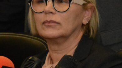 Photo of Las reformas del PAN buscan saquear y aterrorizar al pueblo: Magaly Deandar