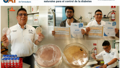 Photo of Expertos de la UAT analizan sustancias naturales para el control de la diabetes