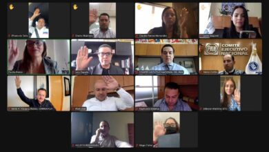 Photo of Aprueba PAN acciones para garantizar la paridad de género en elección de comités