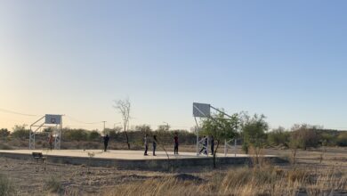Photo of Hermosillo simula tener áreas verdes que, en realidad, no tiene