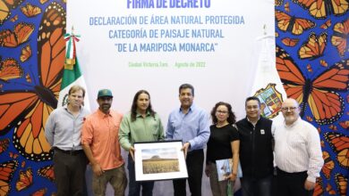 Photo of Crean en Tamaulipas primer área natural protegida para preservar la ruta migratoria de la Mariposa Monarca
