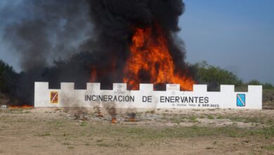 Photo of Incineran más de 3 toneladas de narcóticos asegurados en Tamaulipas