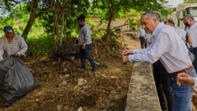 Photo of Con mantenimiento en canales Gobierno de Adrián Oseguera da certidumbre a los maderenses