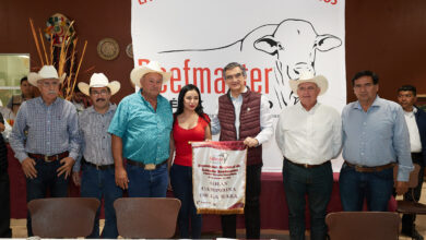 Photo of Ganadería de Tamaulipas será referente nacional: Américo