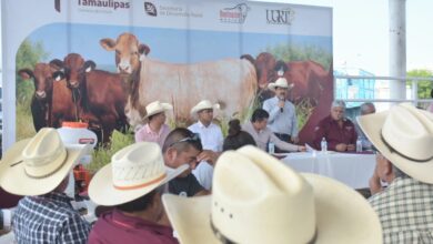 Photo of Establece sinergia Gobierno de Tamaulipas con productores agrícolas y ganaderos
