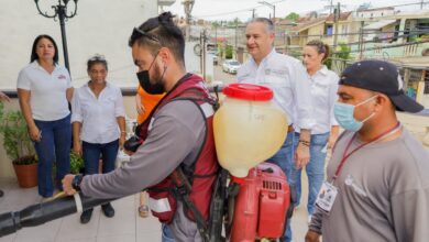 Photo of Intensifican fumigación en colonias maderenses