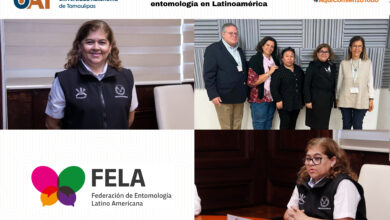 Photo of Asume la UAT liderazgo en estudios de entomología en Latinoamérica