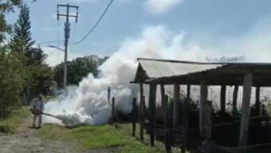 Photo of Activa Secretaría de Salud vigilancia epidemiológica por encefalitis equina