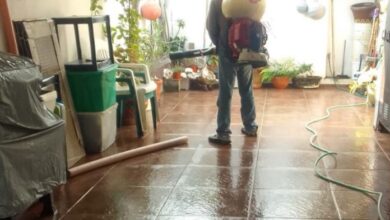 Photo of En Madero mantienen entornos saludables para prevenir el dengue