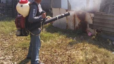 Photo of Continúa programa de fumigación en colonias Maderenses
